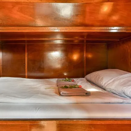 船上ホテル Local Houseboat Center 'betelgeuze' *